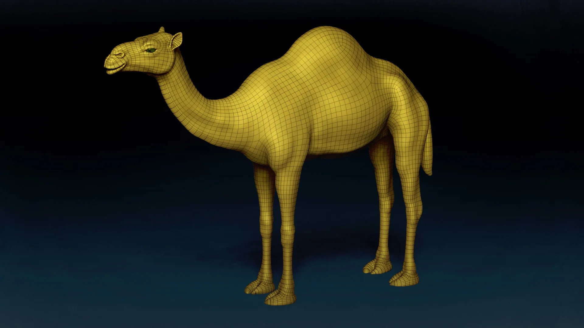 Camel Basemesh 3D model