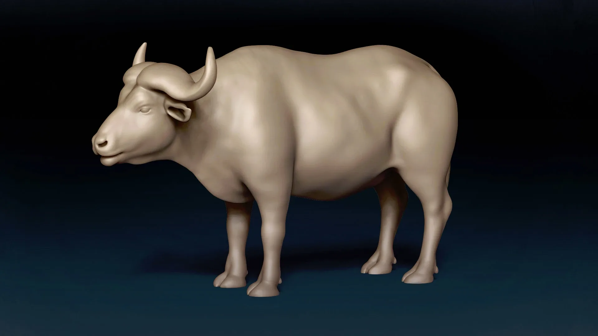 African Buffalo Basemesh 3D model