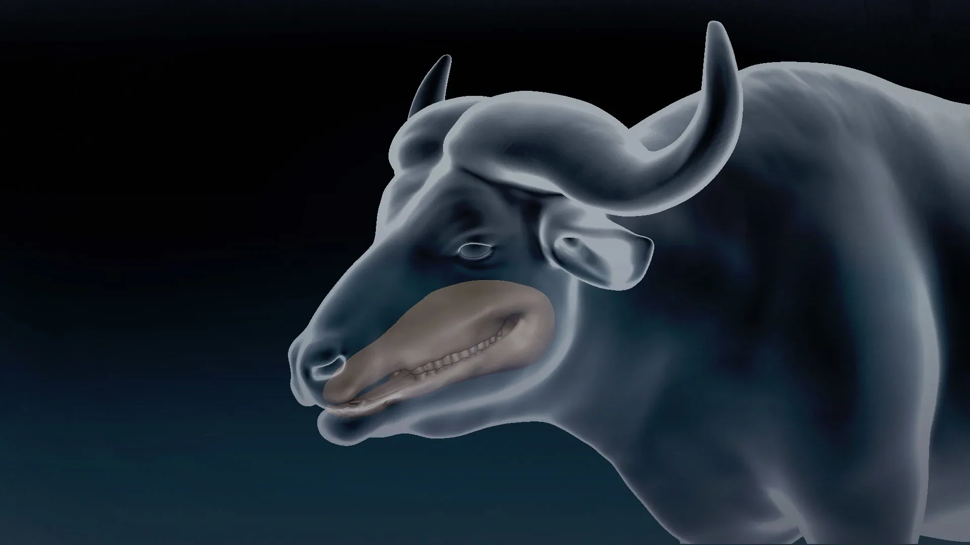 African Buffalo Basemesh 3D model