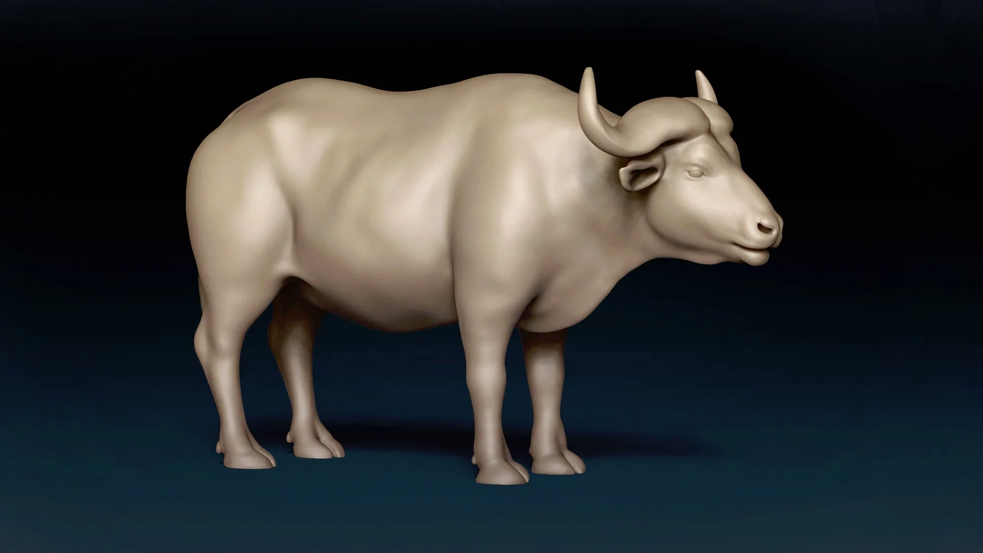 African Buffalo Basemesh 3D model