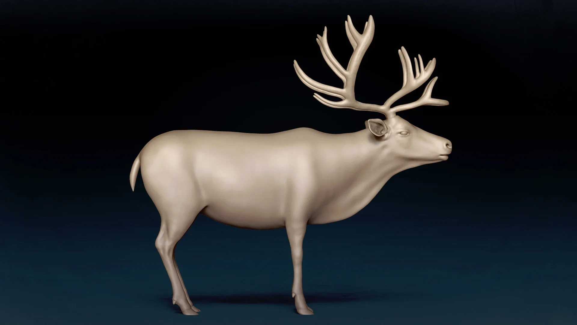 Caribou Basemesh 3D model