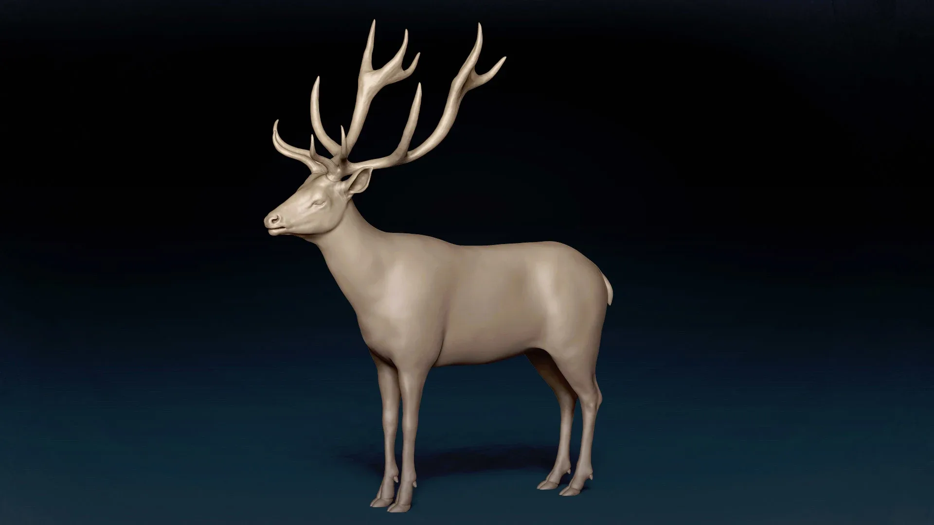 Red Deer Basemesh 3D model