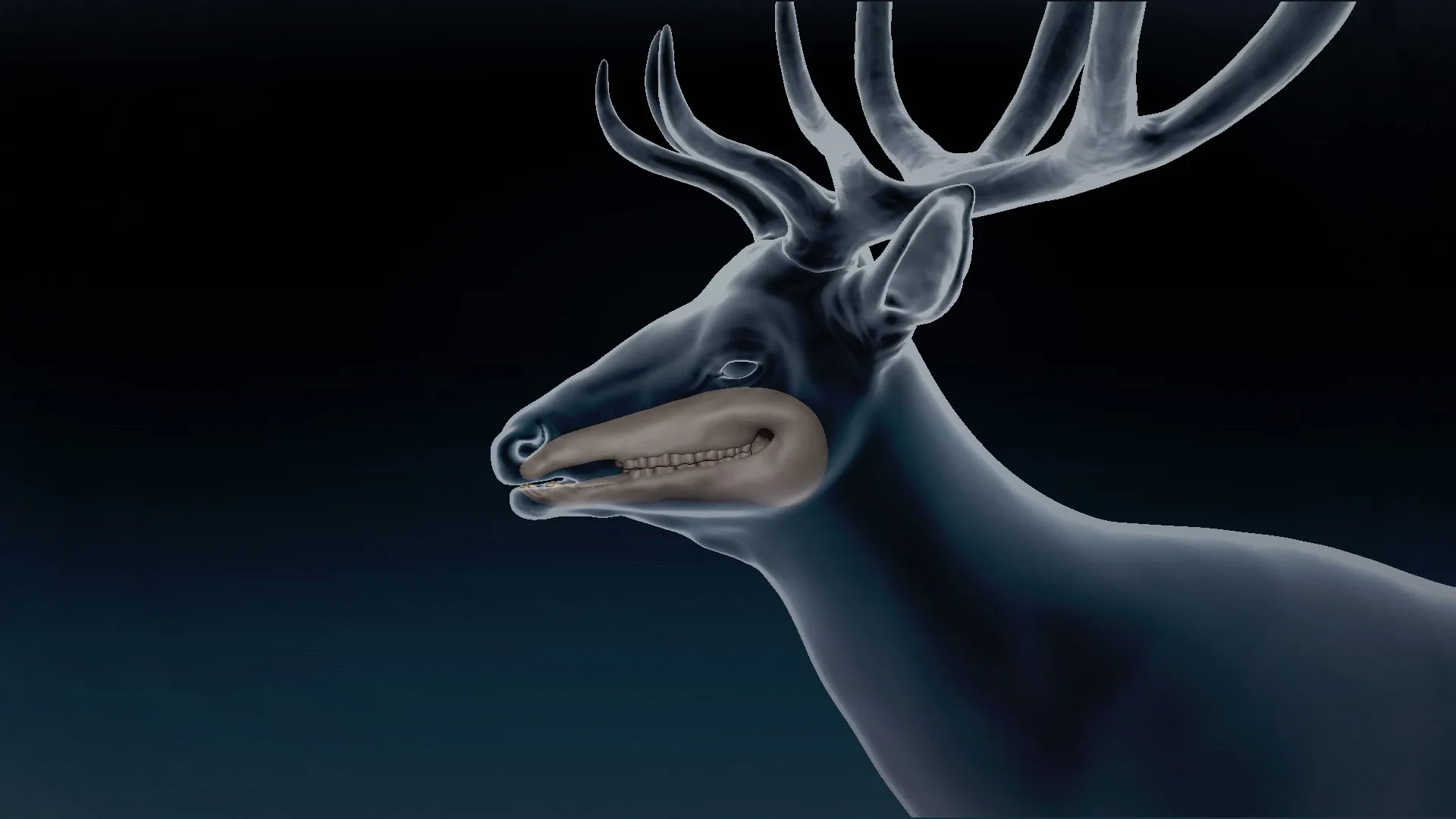 Red Deer Basemesh 3D model