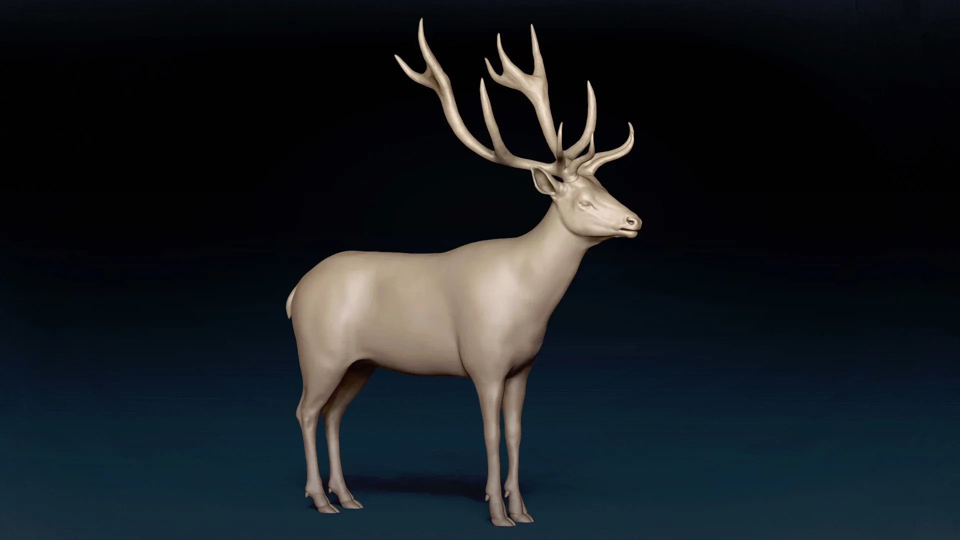 Red Deer Basemesh 3D model