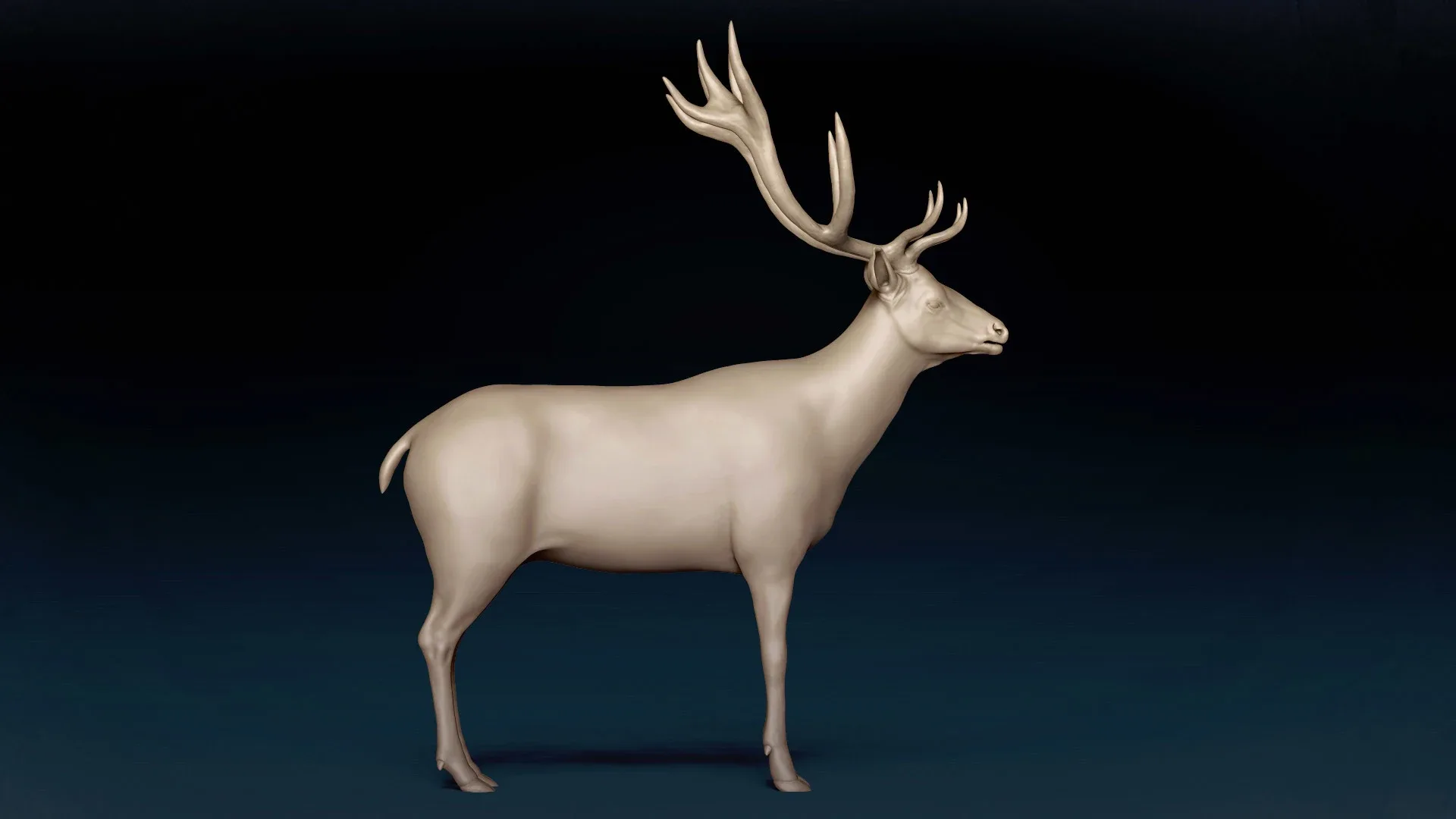 Red Deer Basemesh 3D model