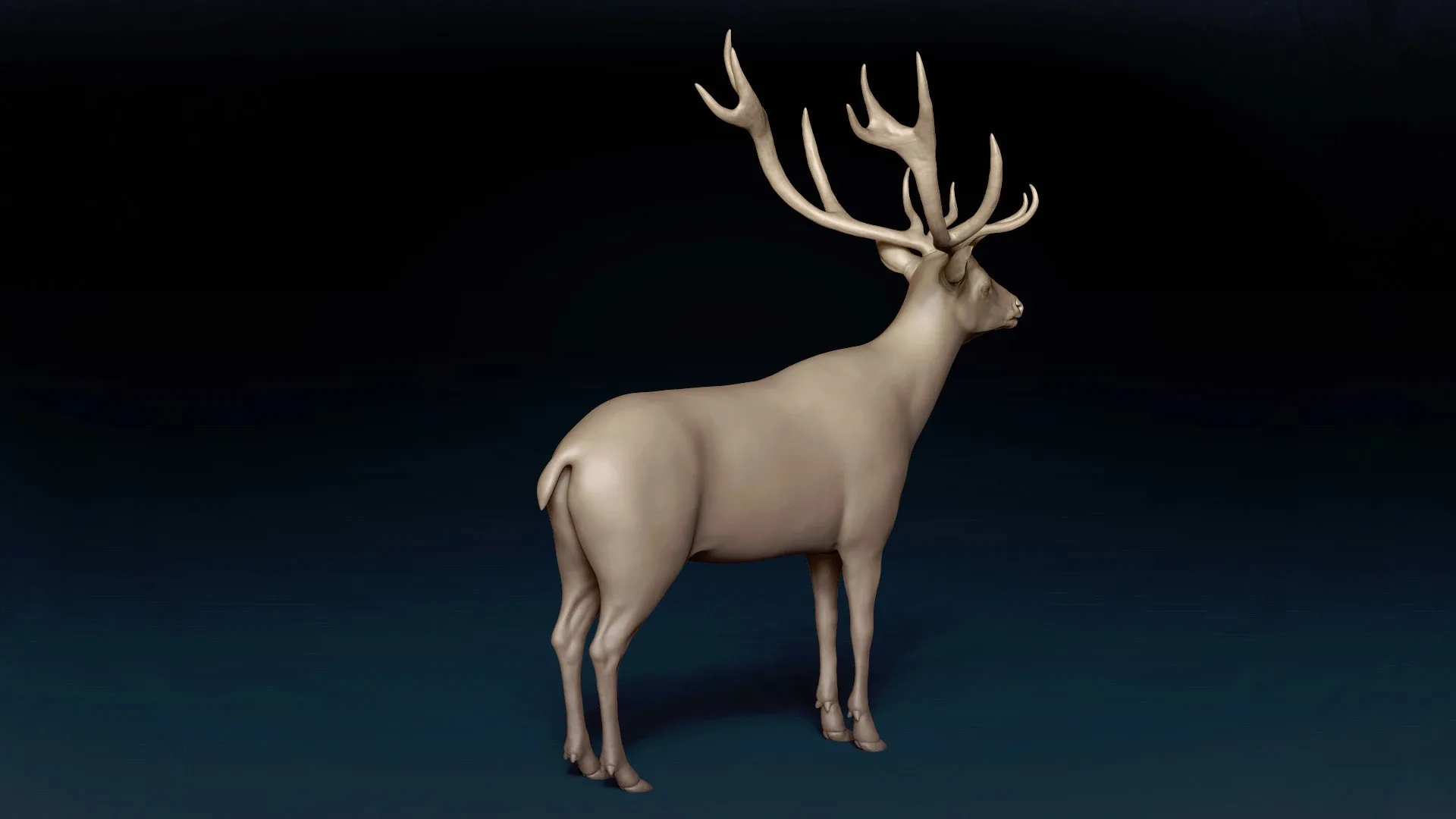 Red Deer Basemesh 3D model