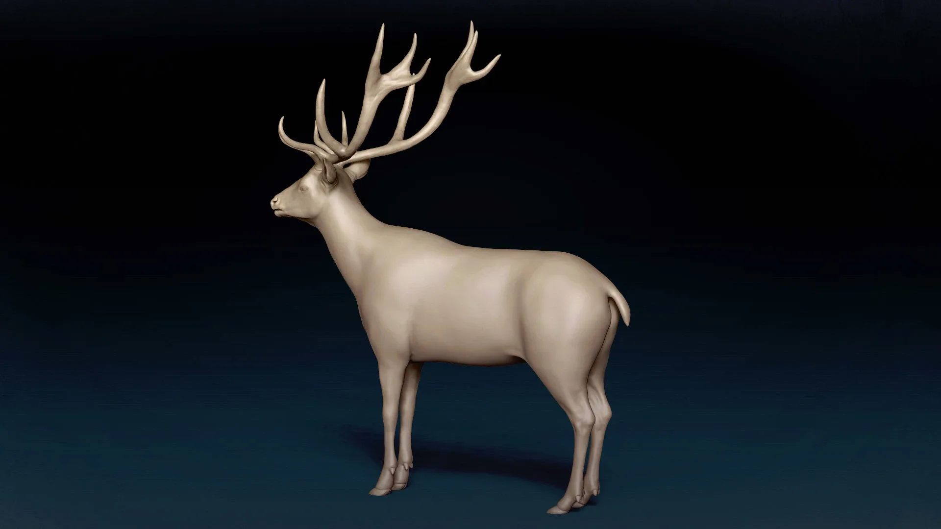 Red Deer Basemesh 3D model