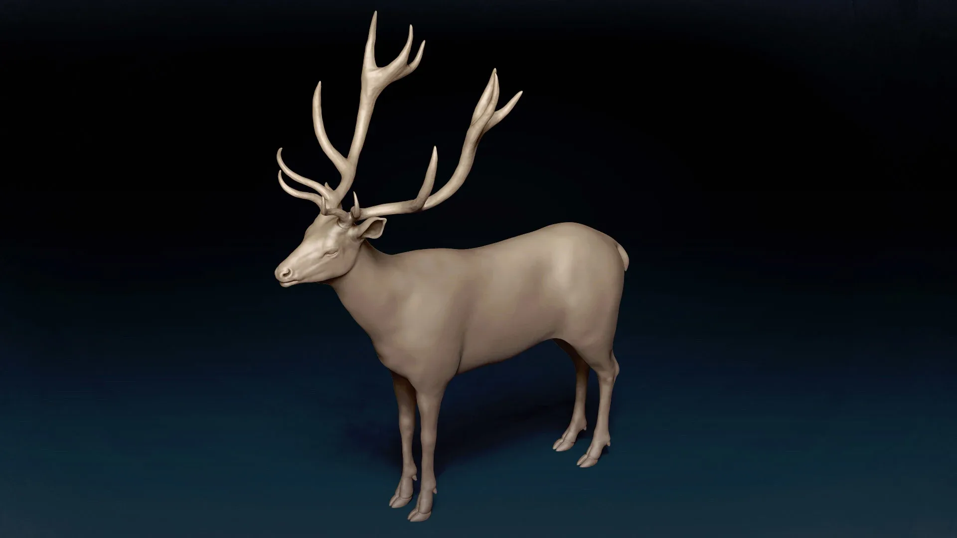 Red Deer Basemesh 3D model