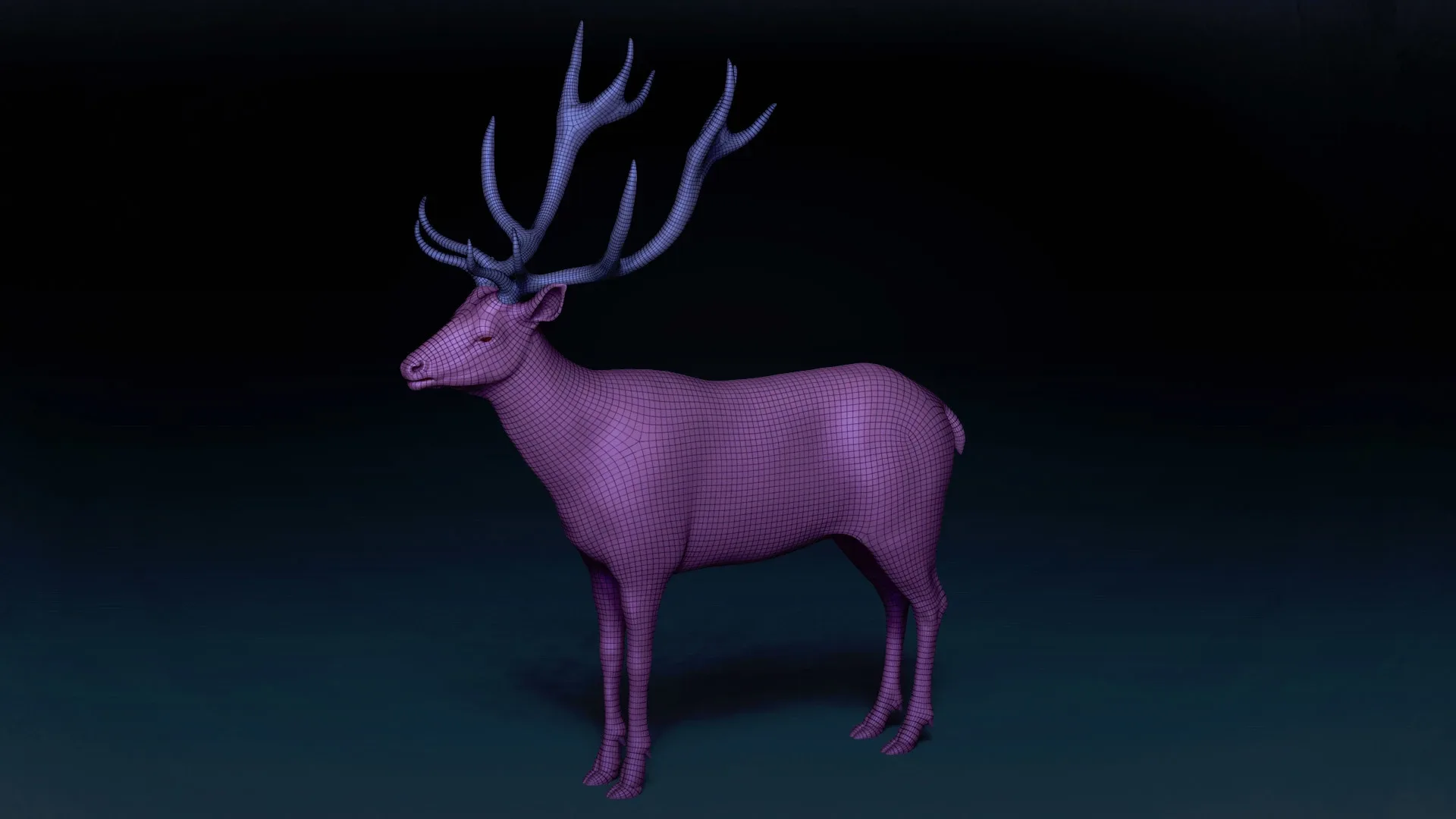 Red Deer Basemesh 3D model