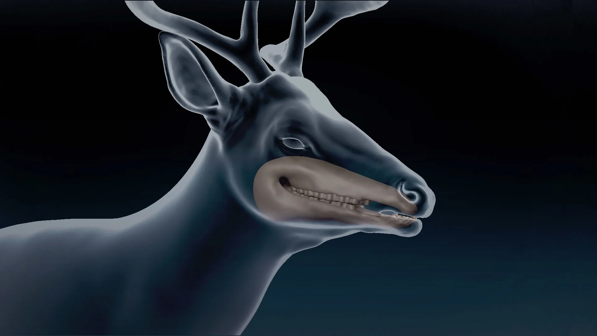White Tailed Deer Basemesh 3D model