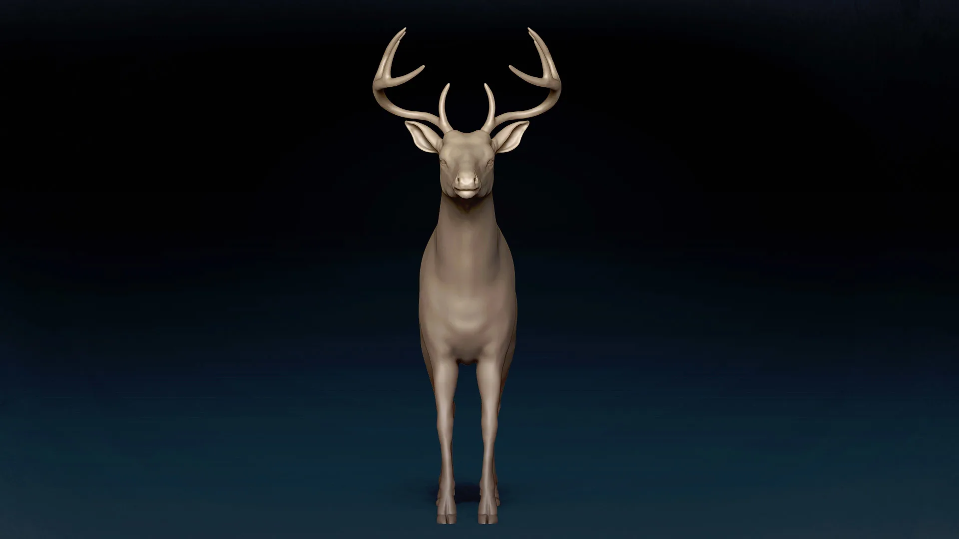 White Tailed Deer Basemesh 3D model