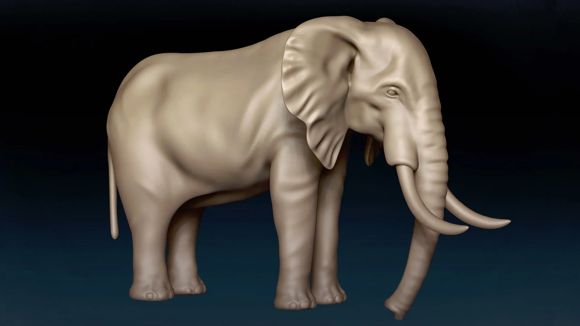 African Elephant Basemesh 3D model