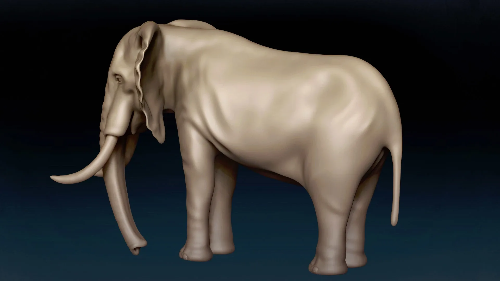 African Elephant Basemesh 3D model