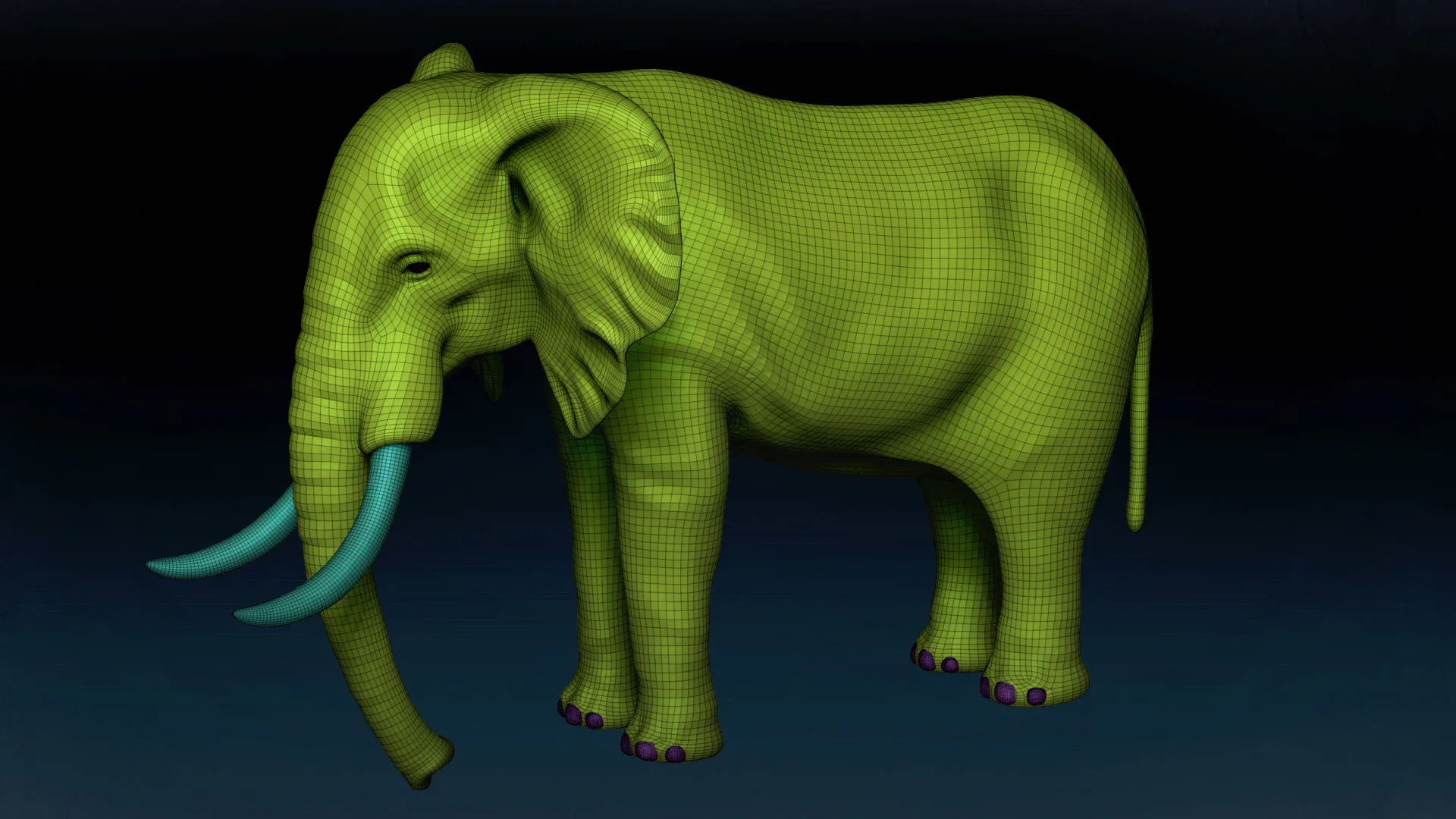 African Elephant Basemesh 3D model