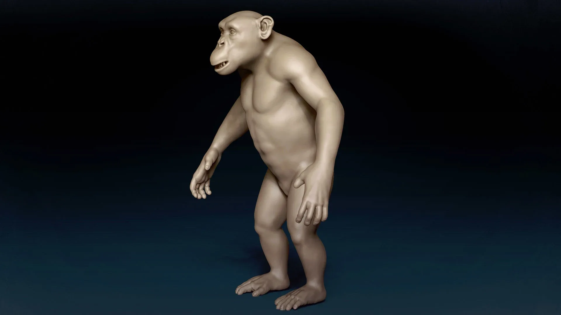 Chimpanzee Basemesh 3D model