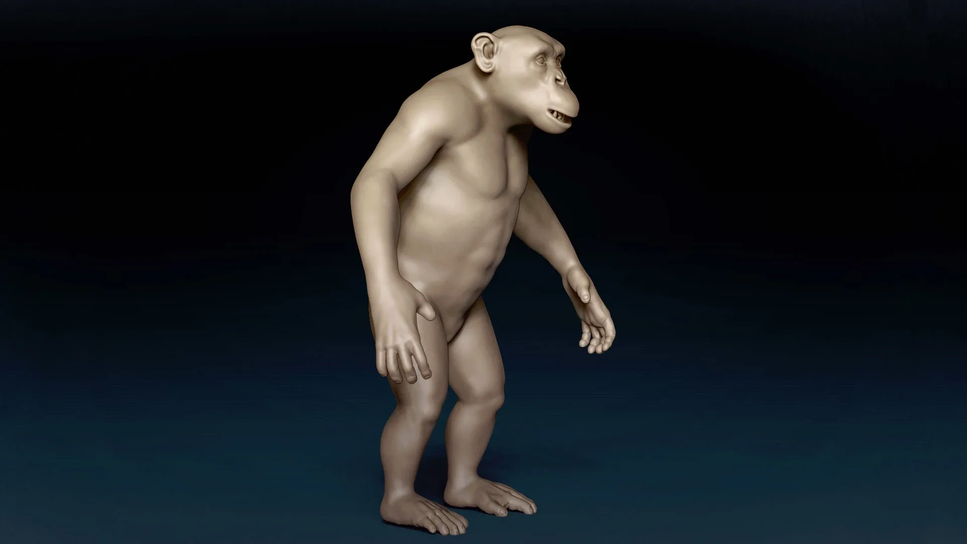 Chimpanzee Basemesh 3D model