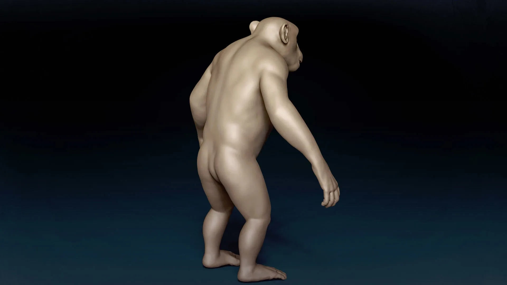 Chimpanzee Basemesh 3D model