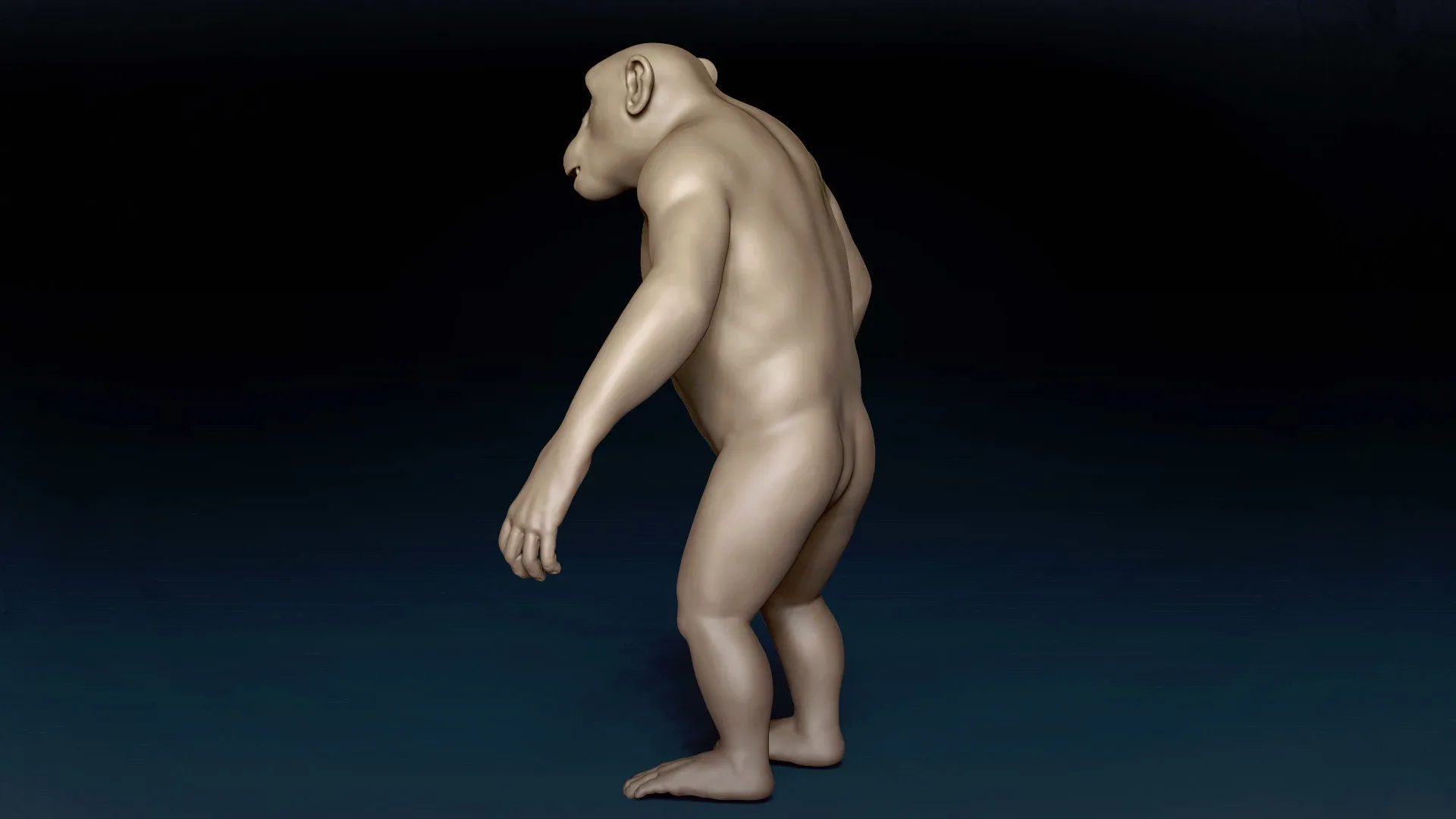 Chimpanzee Basemesh 3D model