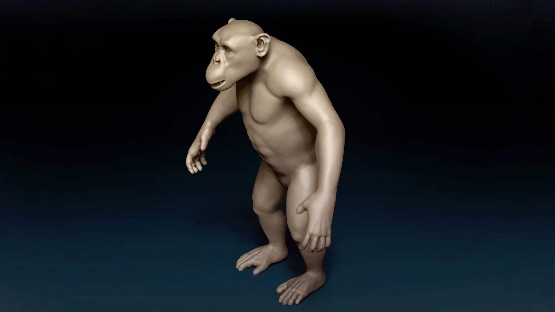 Chimpanzee Basemesh 3D model