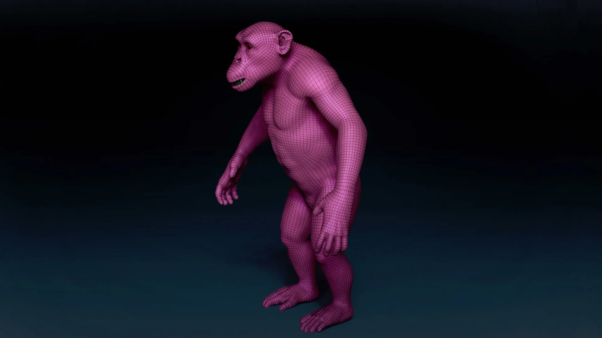 Chimpanzee Basemesh 3D model