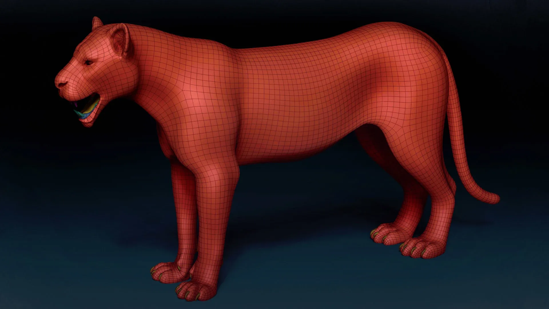 Lioness Basemesh 3D model