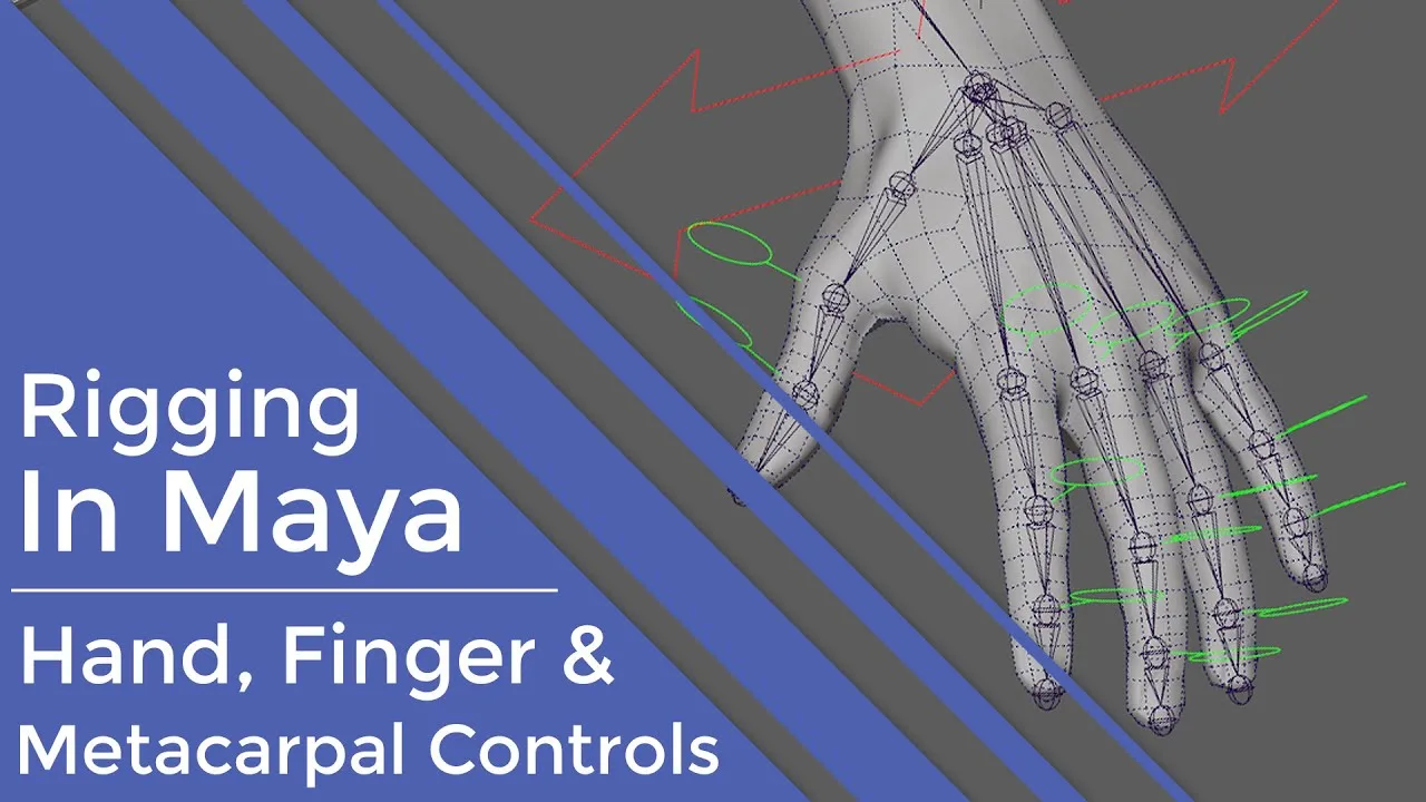 Rigging In Maya: Biped