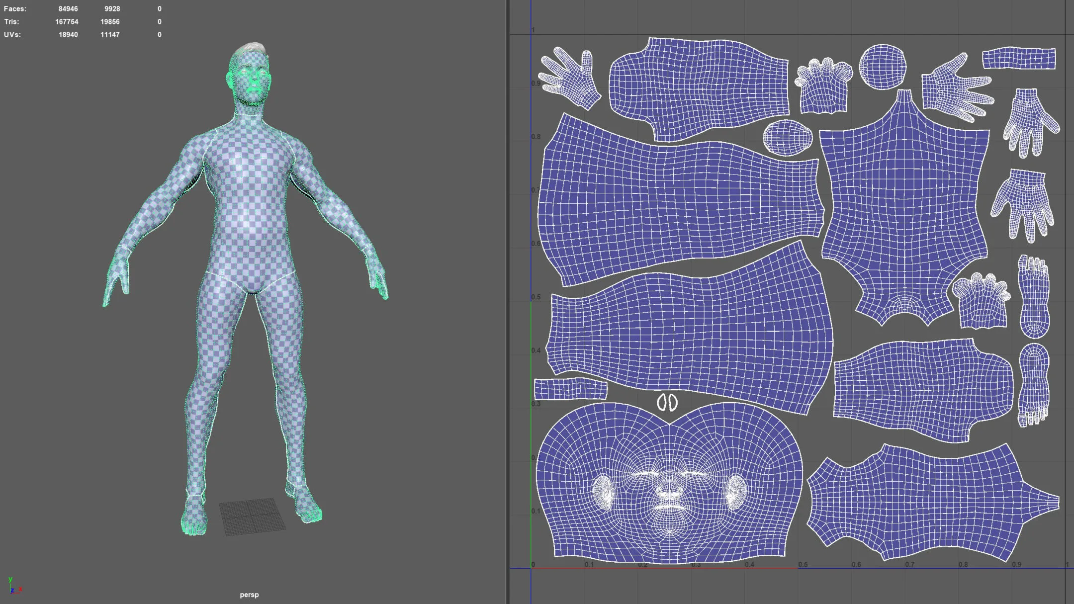 Full Male Body Topology and UV Map