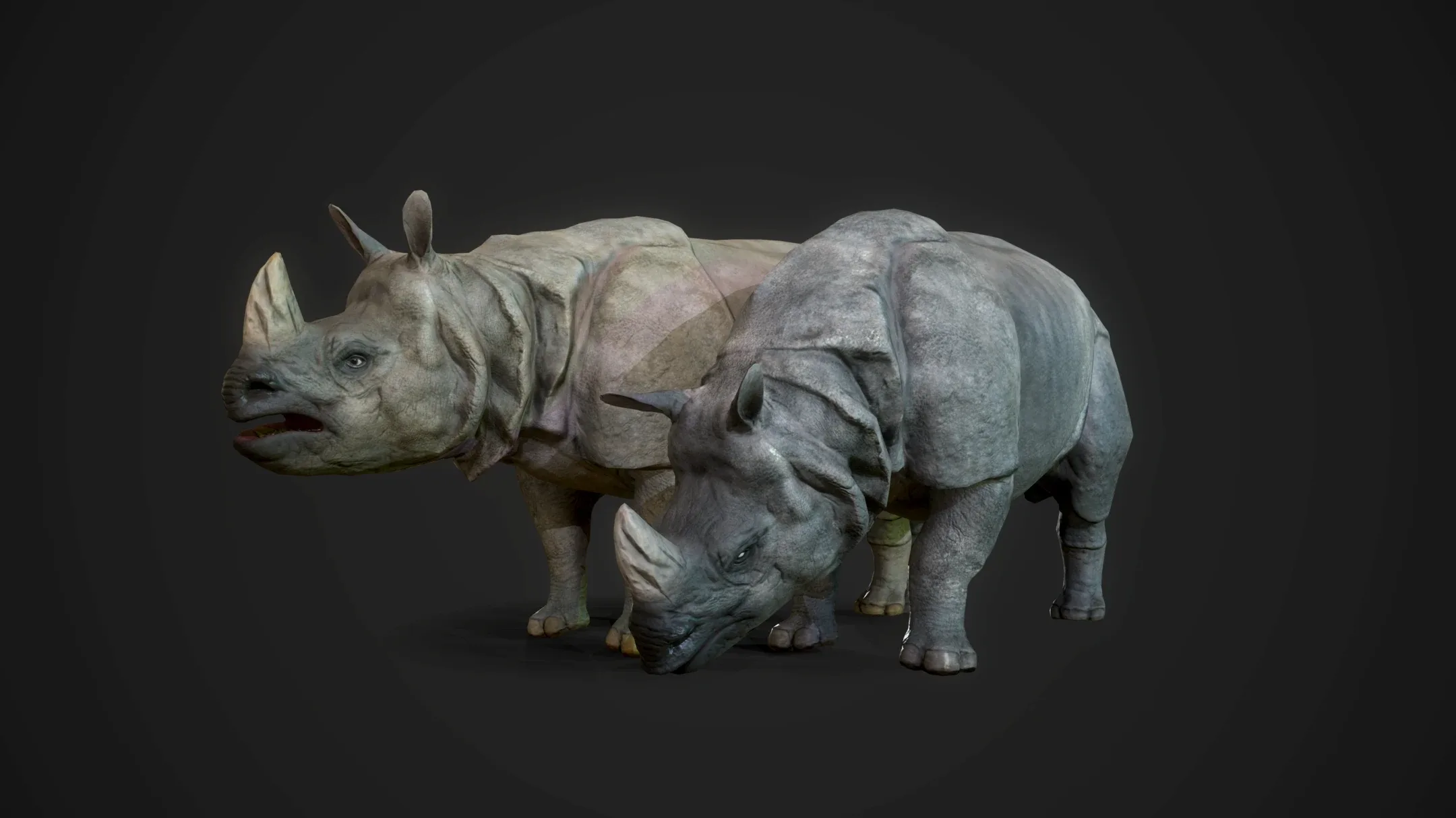 Indian Rhinoceros - Game Ready