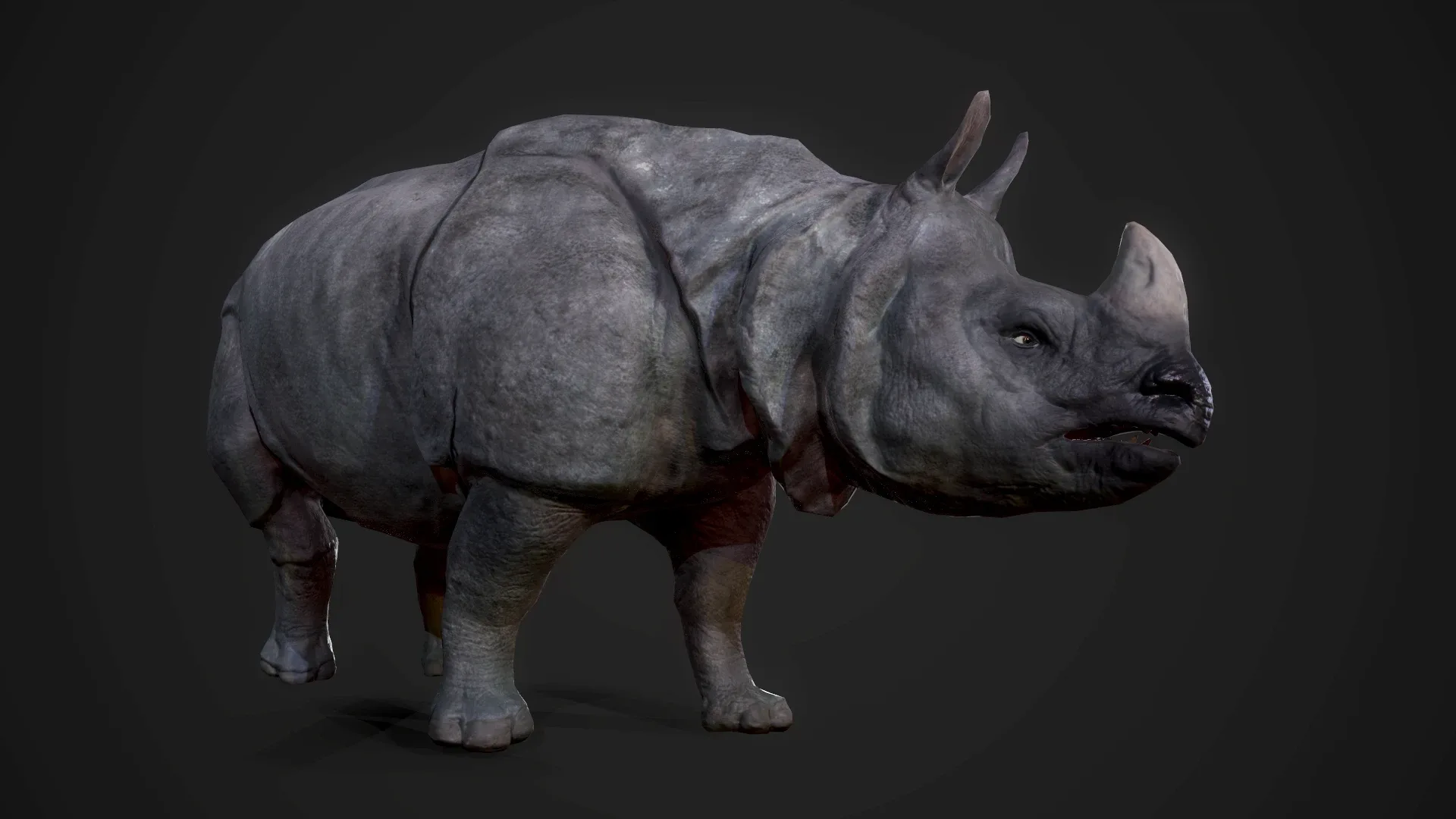 Indian Rhinoceros - Game Ready