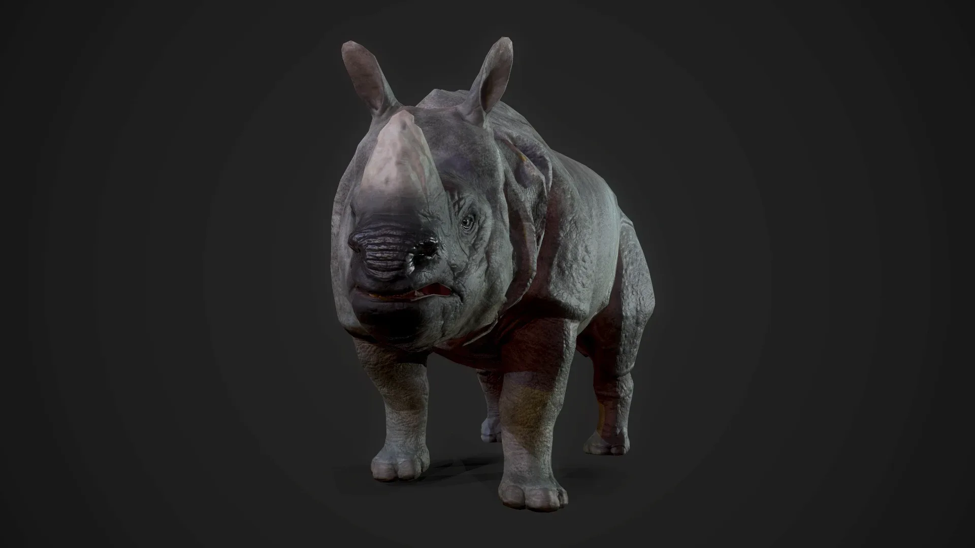 Indian Rhinoceros - Game Ready