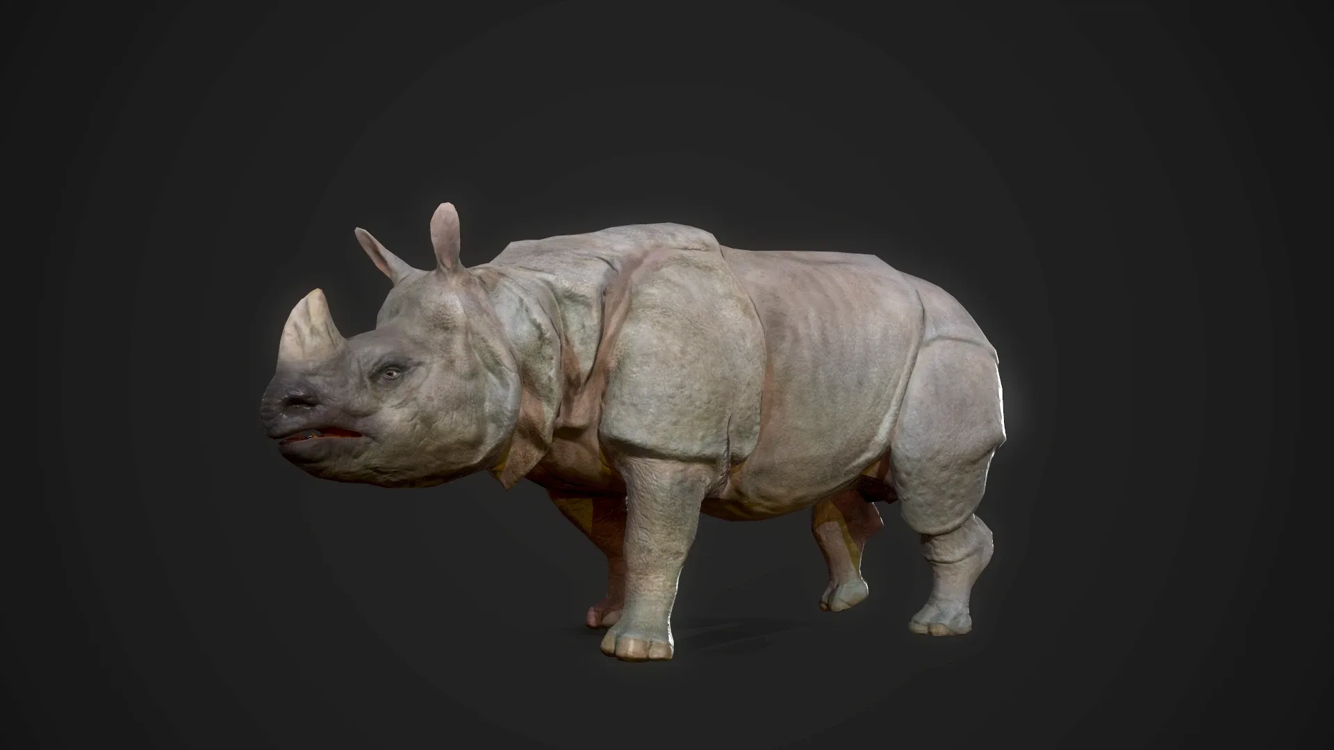 Indian Rhinoceros - Game Ready