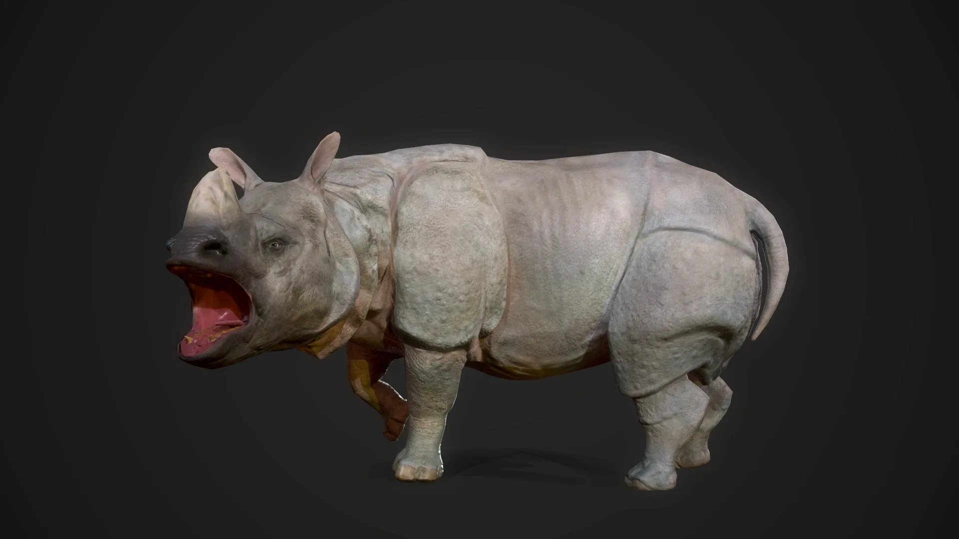 Indian Rhinoceros - Game Ready