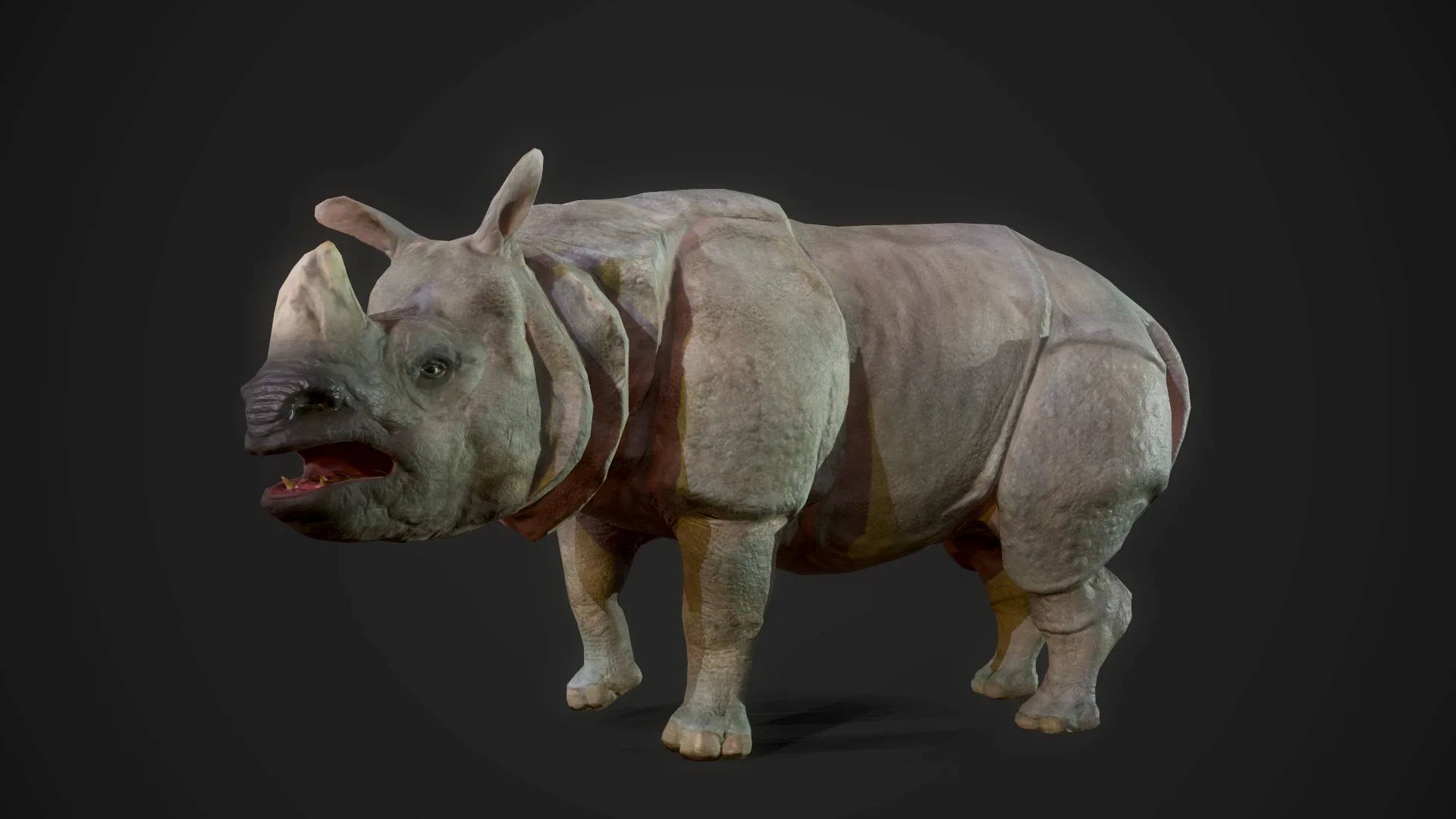 Indian Rhinoceros - Game Ready