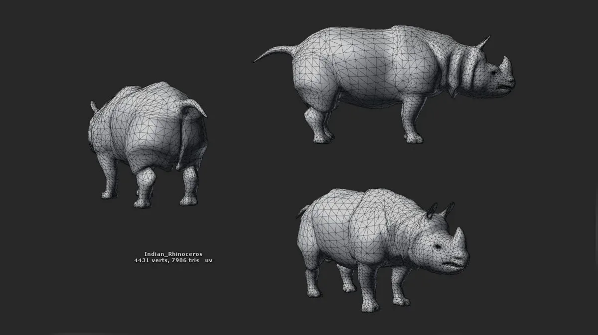Indian Rhinoceros - Game Ready