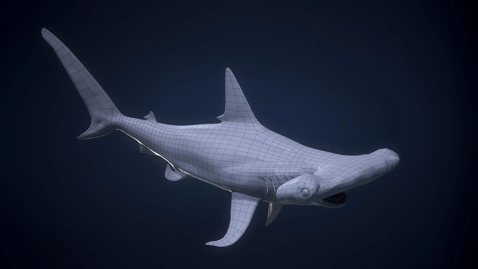 Hammerhead Shark - Game Ready