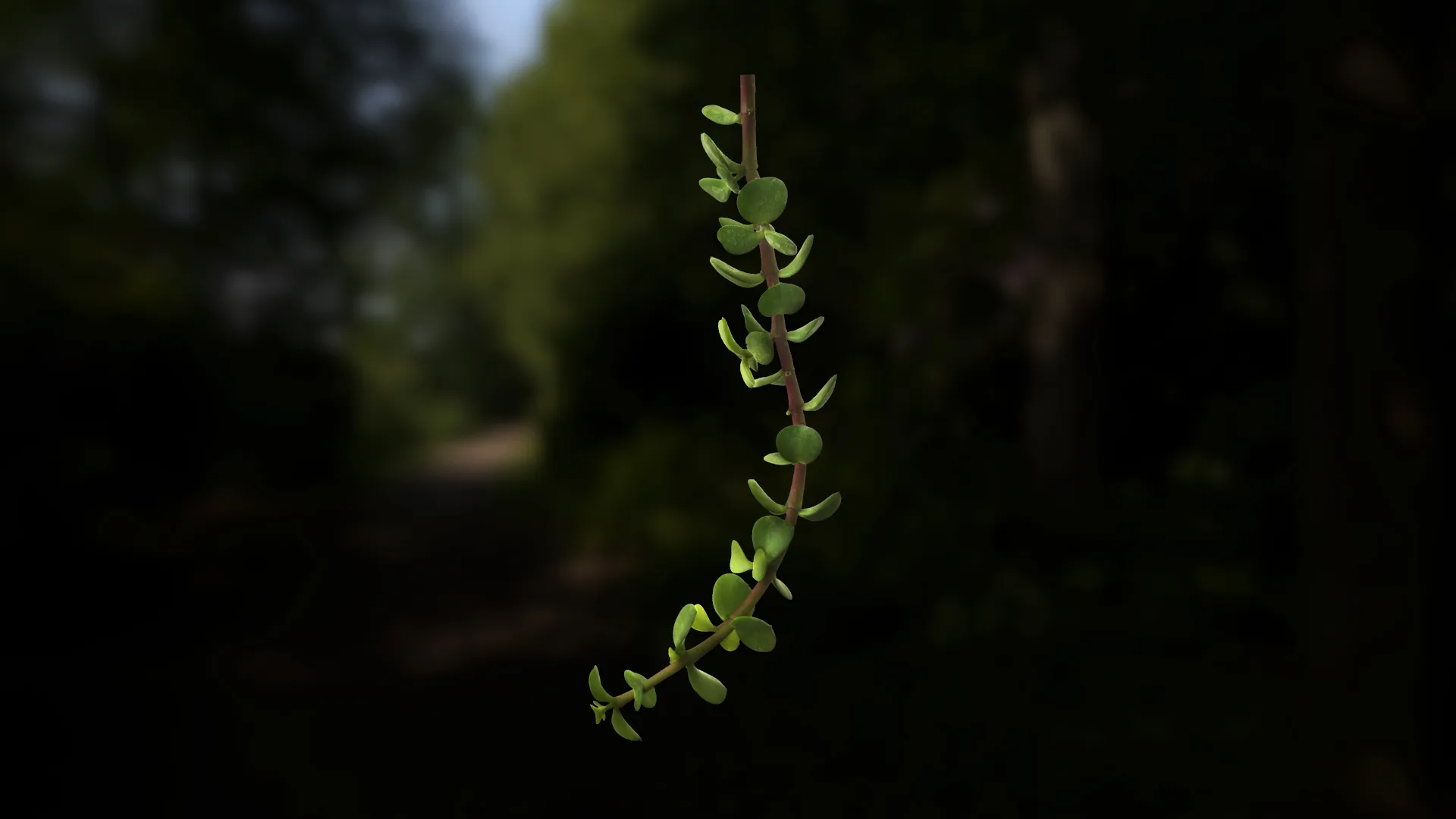 Leaf Pack- PBR Texture with Alpha Map - Vol.1