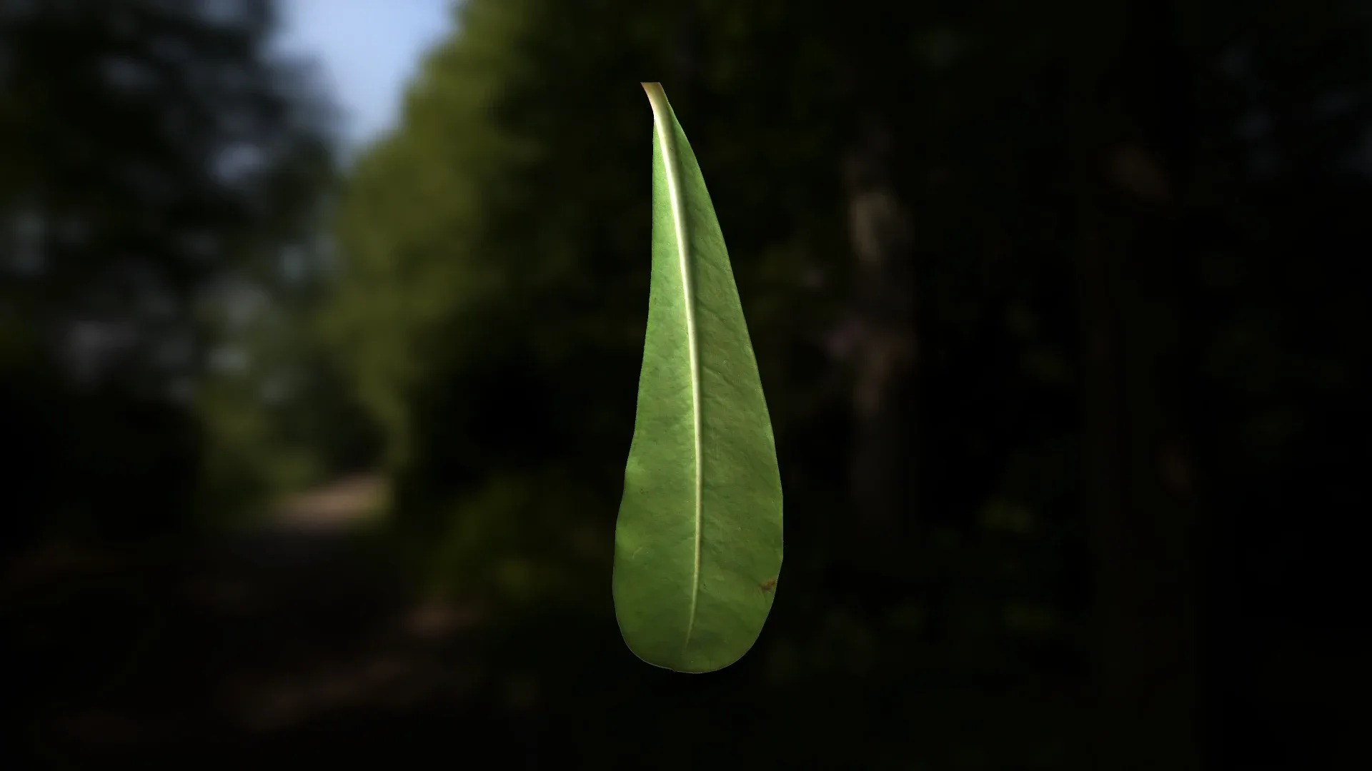 Leaf Pack- PBR Texture with Alpha Map - Vol.1