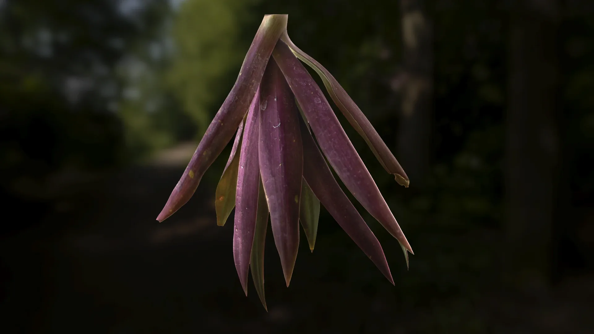 Leaf Pack- PBR Texture with Alpha Map - Vol.1