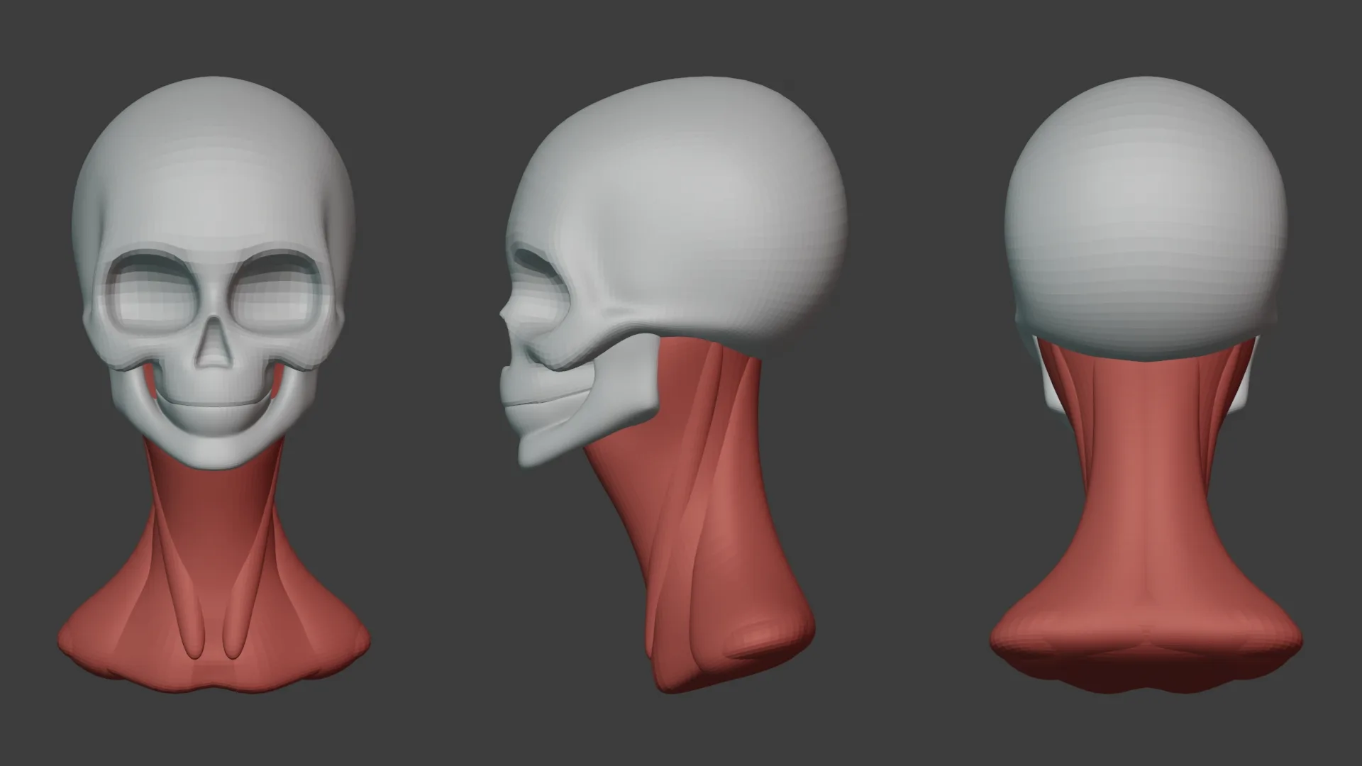 Head Stylized Anatomy Blockout