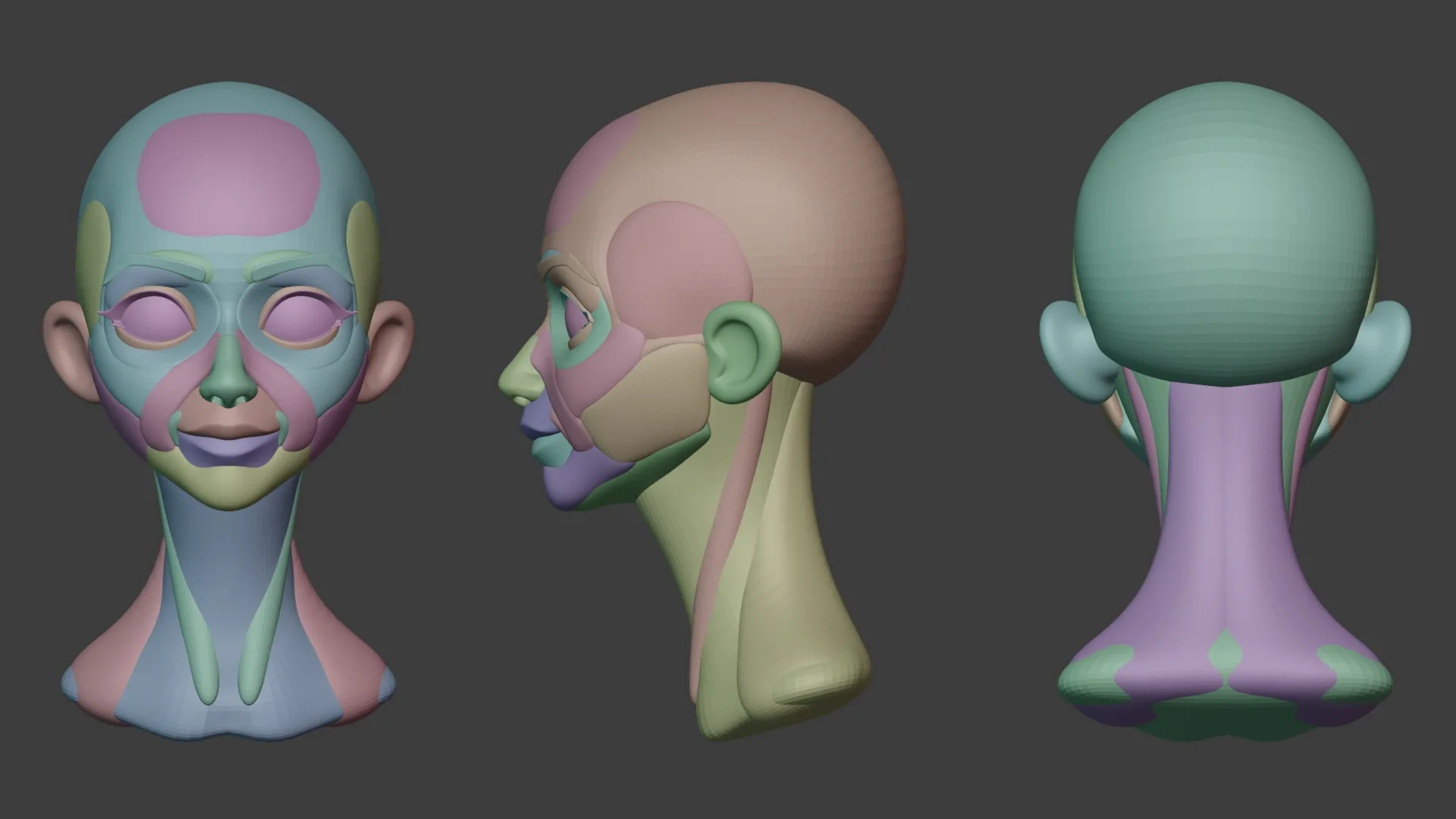Head Stylized Anatomy Blockout