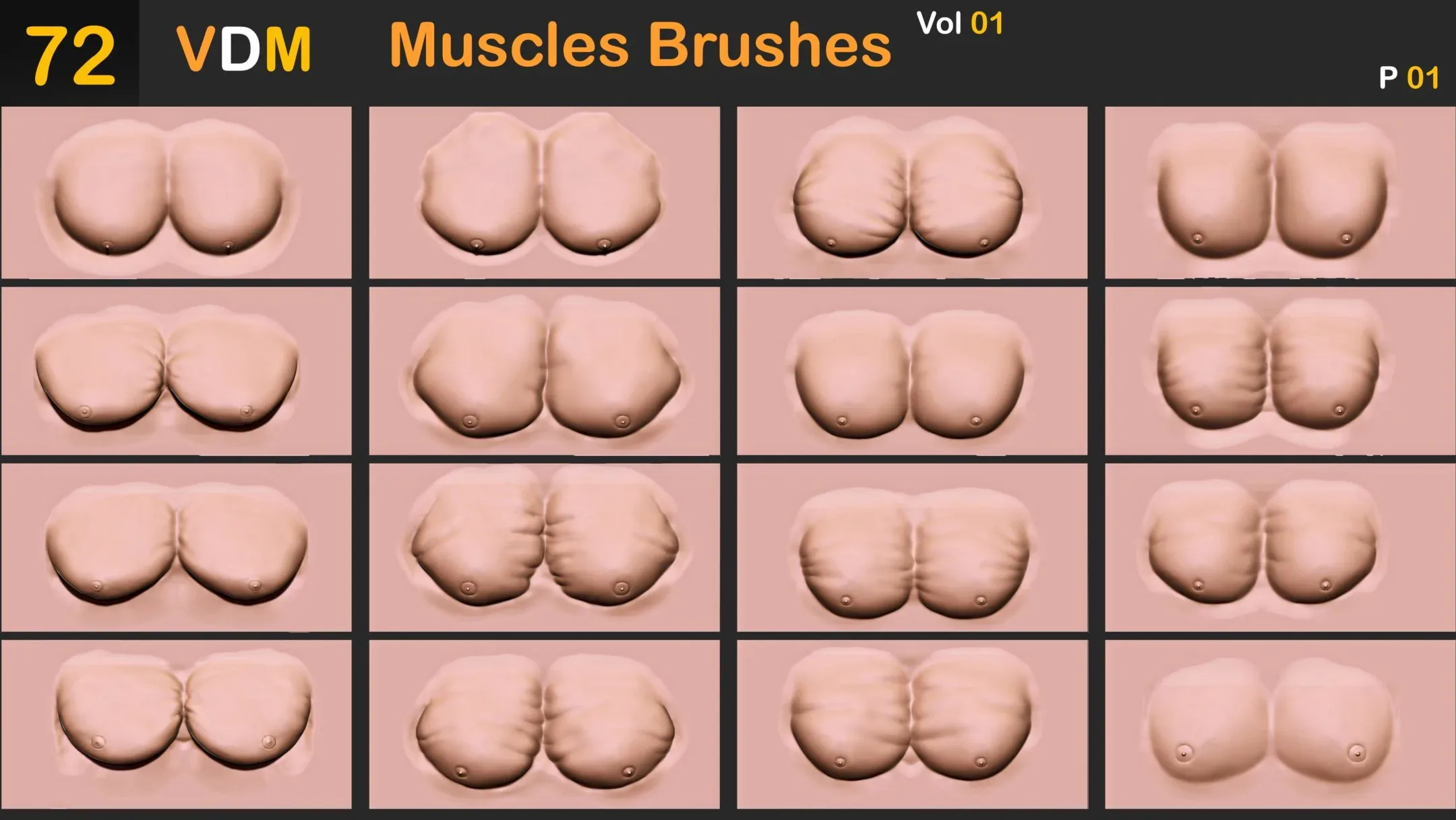 72 VDM Muscles Brushes_Vol 01