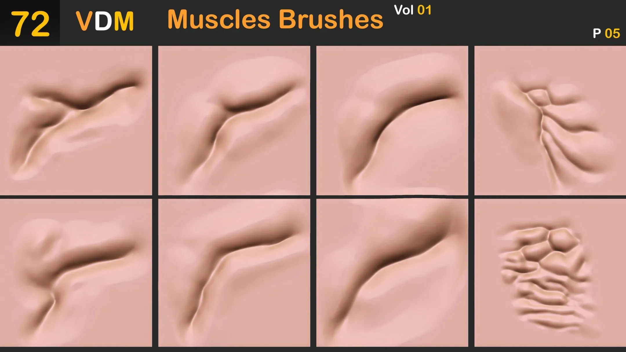 72 VDM Muscles Brushes_Vol 01