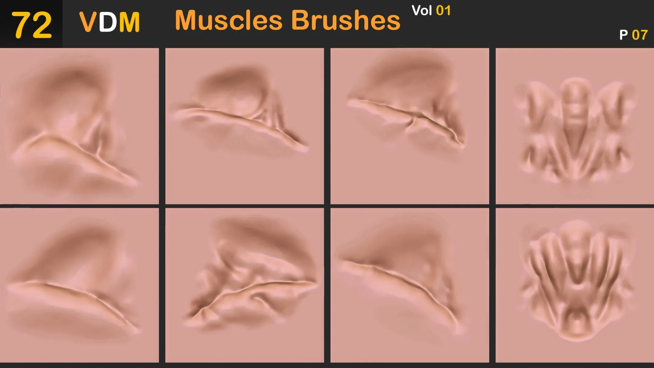 72 VDM Muscles Brushes_Vol 01