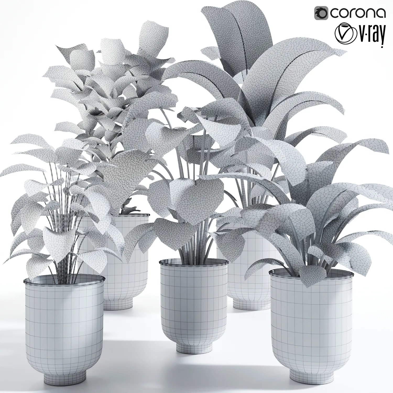 Plant Set 03