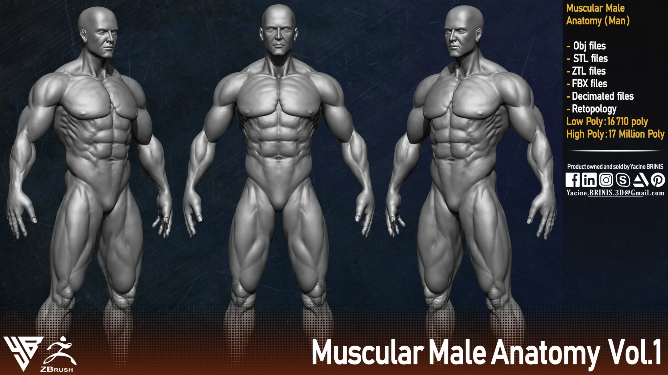 Muscular Male Anatomy (Human Base mesh)