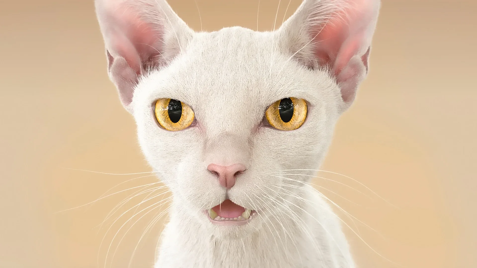 Cat White Fur Shorthair Animated XGen Core