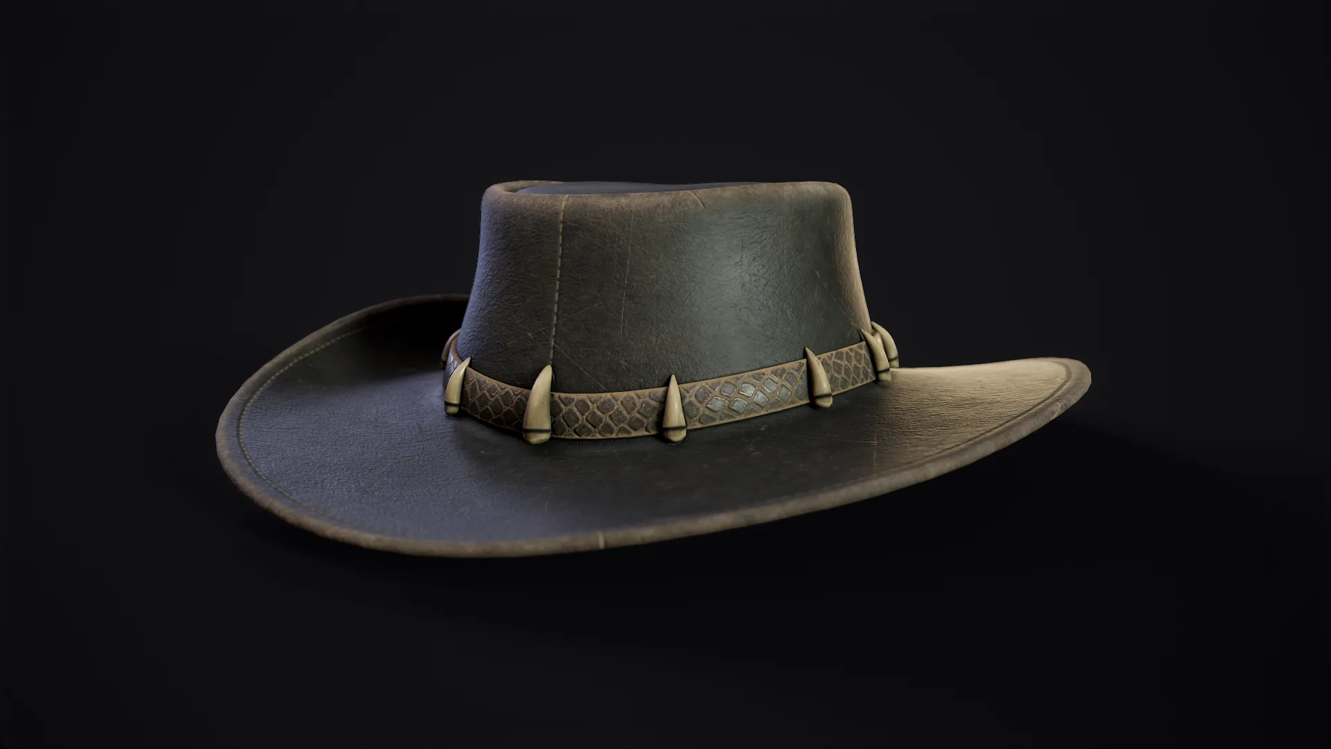 Australian Outback Hat