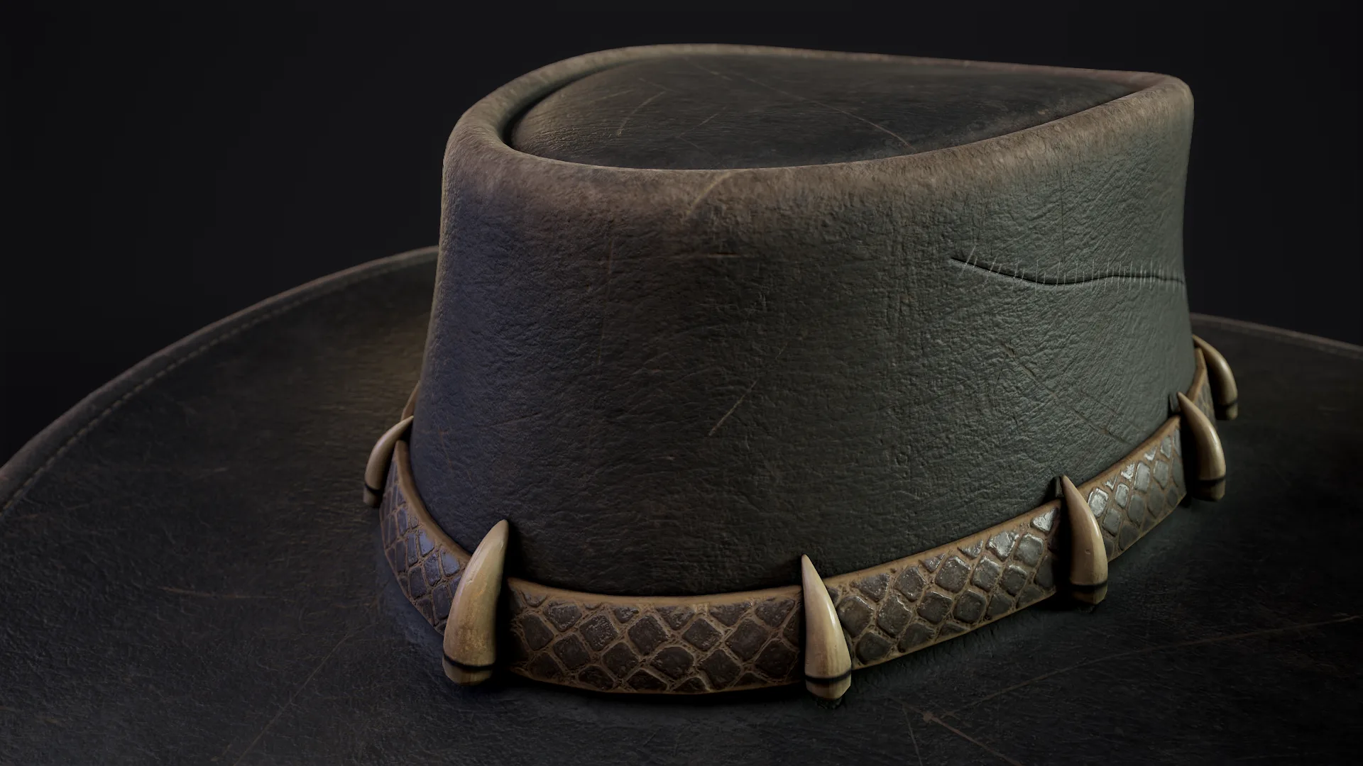 Australian Outback Hat