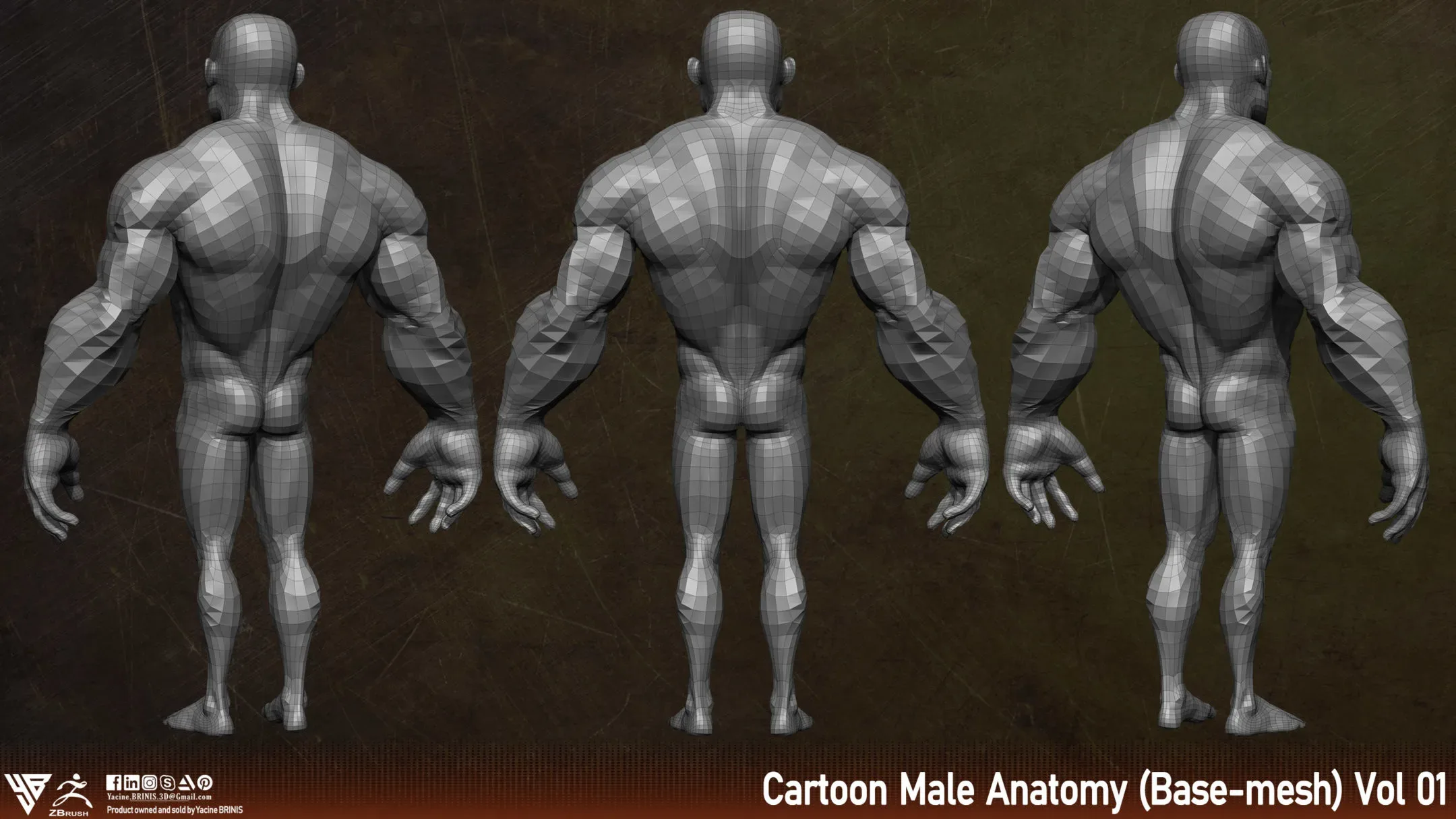 Cartoon Male Anatomy (Base-mesh) Vol 01