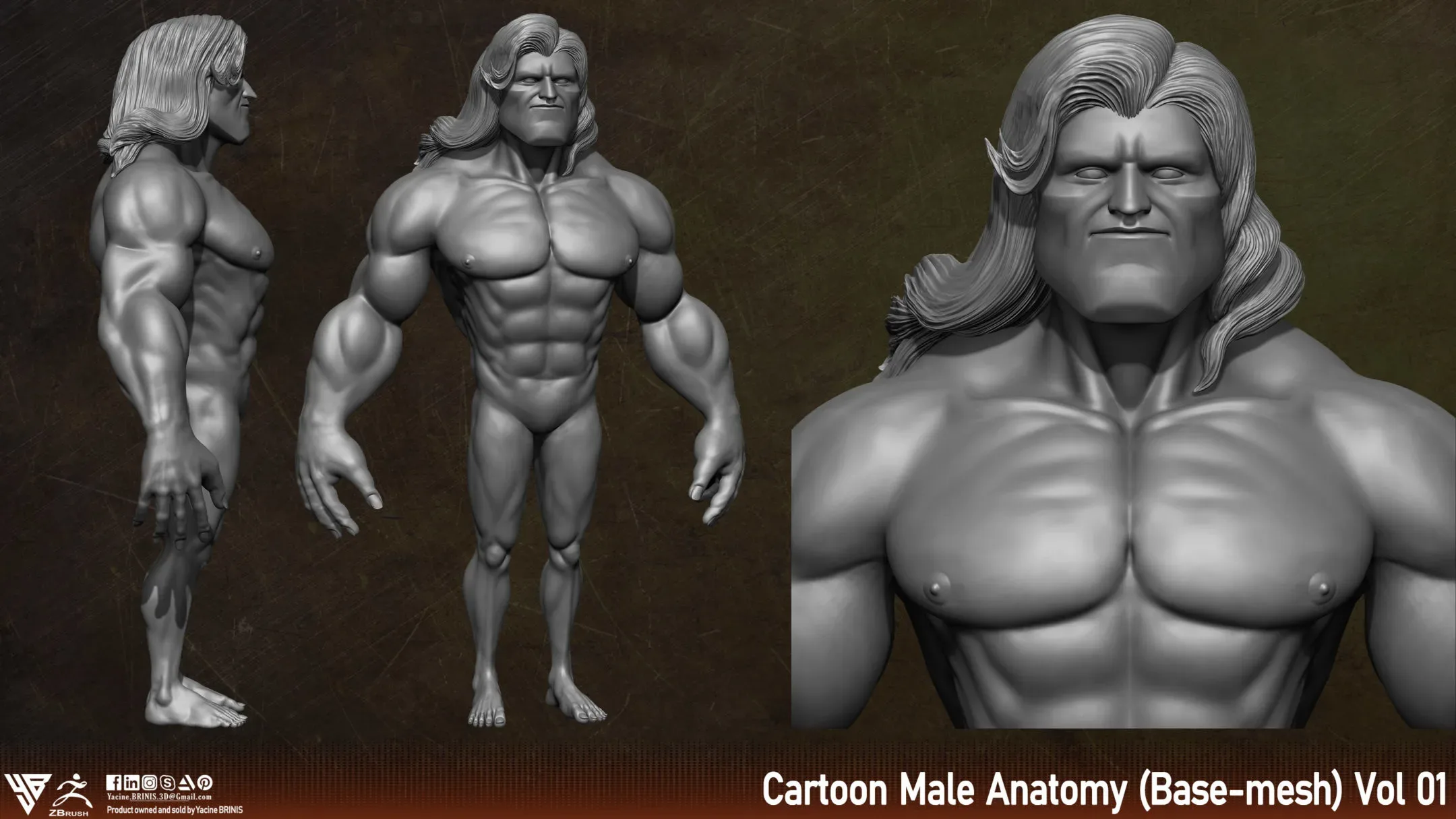 Cartoon Male Anatomy (Base-mesh) Vol 01